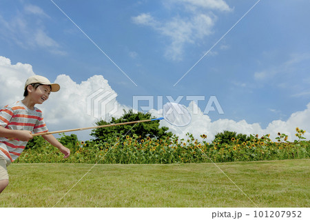 ひまわりの咲く公園で虫を追う男の子 101207952