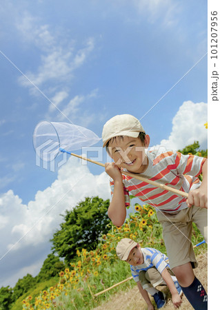 ひまわりの咲く公園で虫を追う兄弟 101207956