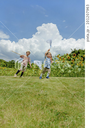 ひまわりの咲く公園で虫を追う兄弟 101207963