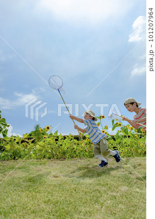 ひまわりの咲く公園で虫を追う兄弟 101207964