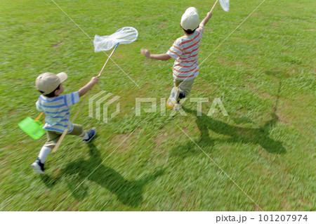 公園で虫を追う兄弟 公園で虫を追う兄弟 101207974