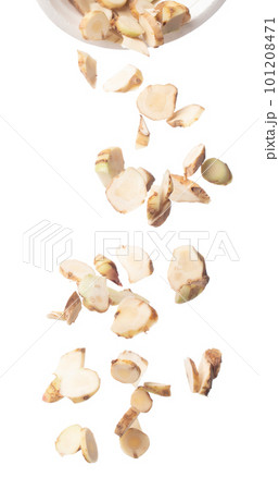 Galangal fall fly in cup, fresh vegetable spice galangal falling. Organic fresh herbal galangal root head cut chop slice, close up texture. White background isolated freeze motion high speed shutter 101208471