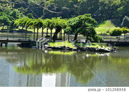 浜離宮恩賜庭園　潮入の池 101208938