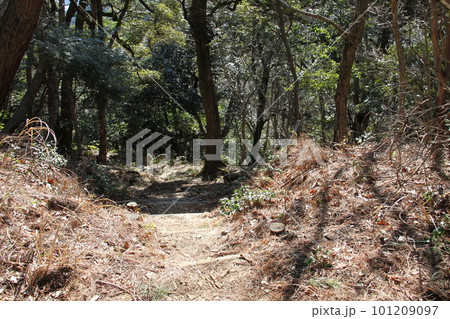 城崎温泉の早春の風景 101209097