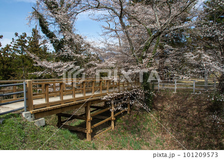群馬県みなかみ町　名胡桃城址　本郭堀切を渡る橋 101209573