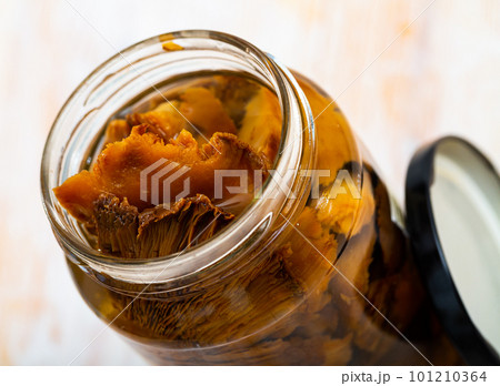 Pickled mushrooms lactarius deliciosus 101210364