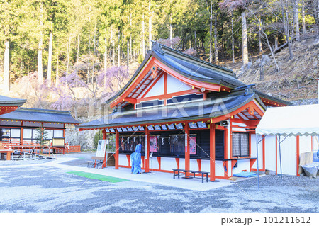 金櫻神社　甲府 101211612