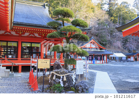 金櫻神社　甲府 101211617
