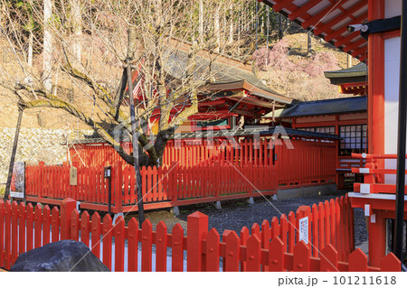 金櫻神社　甲府 101211618