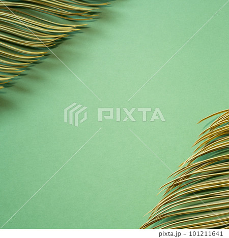 Frame with green plant leaf on green background. flat lay, top view, copy space 101211641