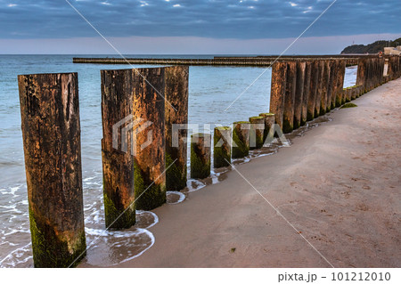 Wooden groynes on beach of Baltic sea in Svetlogorsk at sunset. Kaliningrad region. Russia 101212010