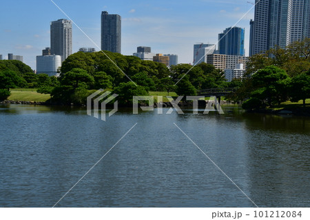 浜離宮恩賜庭園　潮入の池　高層ビル 101212084