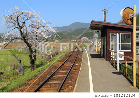 樽見鉄道 ・ 木知原( こちぼら) 駅の満開桜 【 岐阜県本巣市】 101212124