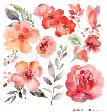 水彩で描かれた赤い花、葉のイラスト素材 [101212685] - PIXTA