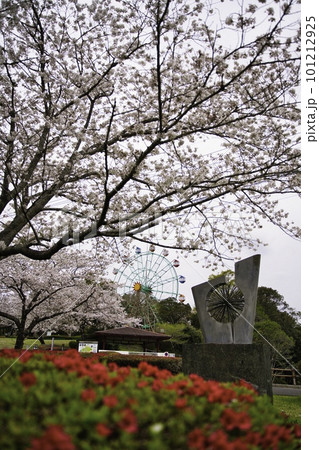 石山観音池 R5年桜 観覧車 石山観音池 R5年桜 観覧車 101212925