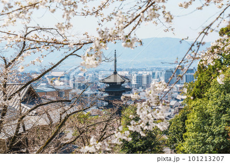 京都霊山護国神社から望む八坂の塔と祇園の街並み　満開の桜 101213207