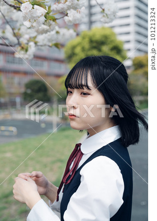 桜と制服の女子高生 101213324