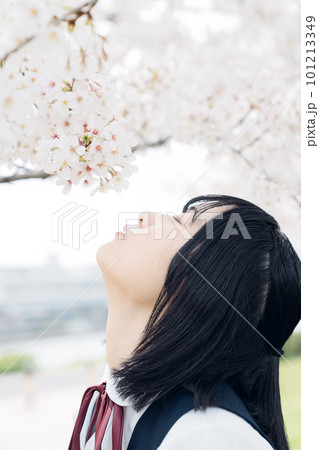 桜を見上げる女子高生 101213349