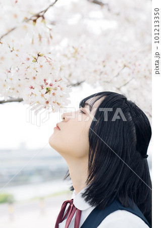 桜を見上げる女子高生 桜を見上げる女子高生 101213350