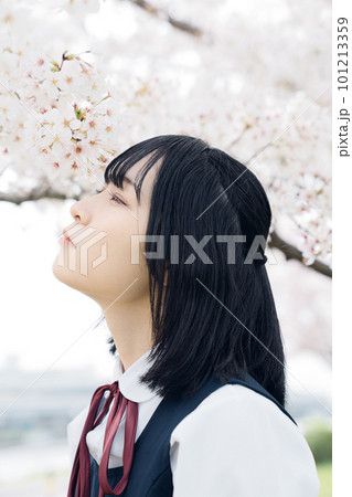桜を見上げる女子高生 101213359