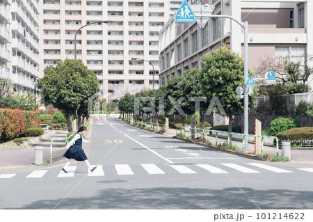 横断歩道を渡る女子高生 横断歩道を渡る女子高生 101214622