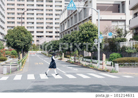 横断歩道を渡る女子高生 101214631