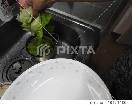 野菜を洗う　野菜　キッチンのシンク 101214802