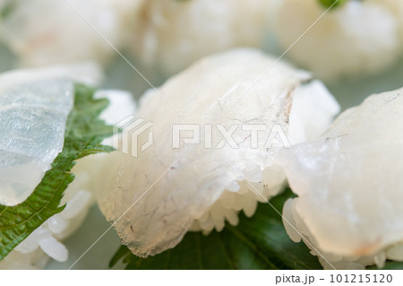 マゴチマゴチの握り 101215120