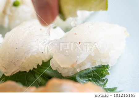 マゴチの握りにレモンを絞る 101215165