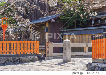 京都 祇園白川 巽橋 満開の桜 京都 祇園白川 巽橋 満開の桜 101215199