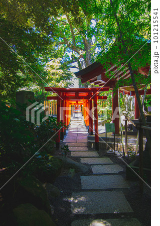 熱海の来宮神社 鳥居 101215541