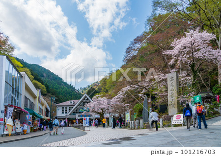 桜咲く清滝駅前風景 101216703