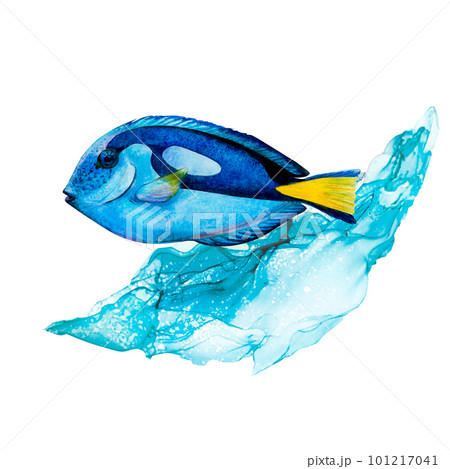 Watercolor drawing of surgeon fish and blue wave on white background. Water with glares. Underwater picture for illustration, sticker, logo, textile printings. All spots, fins and tail are realistic 101217041