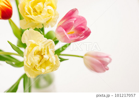 Bright spring bouquet of tulips in a vase close-up on a white background. Top view 101217057