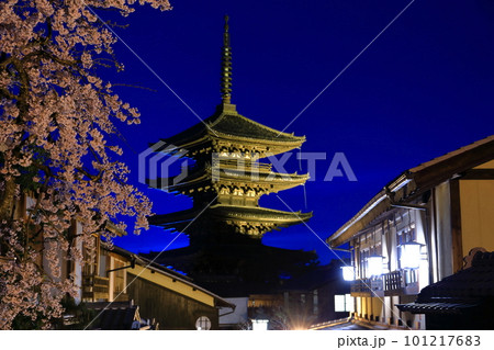 【京都府】桜が満開の八坂の塔の夜景 101217683