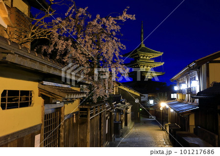 【京都府】桜が満開の八坂の塔の夜景 【京都府】桜が満開の八坂の塔の夜景 101217686