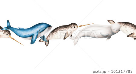 Watercolor border with beluga, blue whale and narwhal isolated on white background. Hand painting realistic Arctic and Antarctic ocean mammals. For designers, decoration, postcards, wrapping paper 101217785