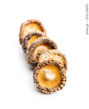 Dried shiitake mushrooms isolated on white background. 101218263