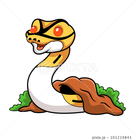 Cute albino pied ball python cartoon out from hole Cute albino pied ball python cartoon out from hole 101219841