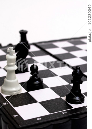 Captured king of chess on white background 101220049