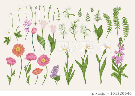 Set with garden flowers 101220646