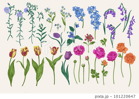 Set with spring and summer flowers 101220647