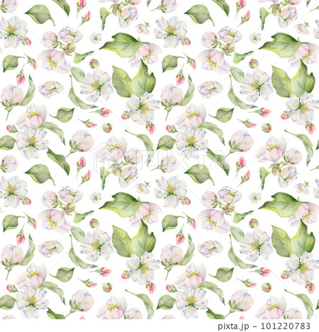 Hand drawn watercolor apple blossom, white and red flowers and green leaves. Seamless pattern. Isolated object on white background. Design for wall art, wedding, print, fabric, cover, card. 101220783