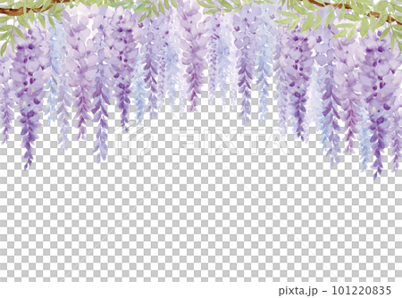 水彩繪的美麗的紫藤花隧道背景材料 101220835