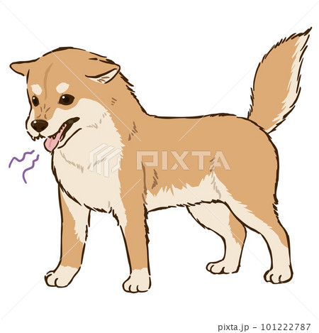 怒る柴犬（茶柴）のイラスト素材 [101222787] - PIXTA