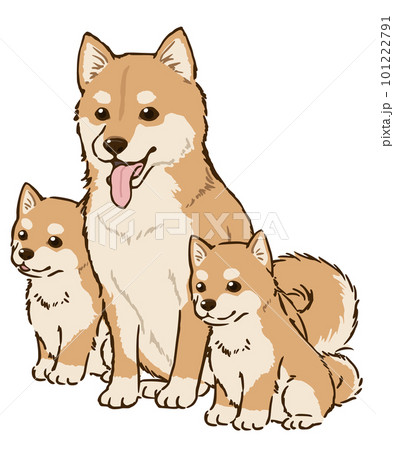 柴犬の親子（茶柴） 101222791