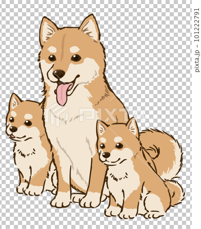 柴犬の親子（茶柴） 101222791