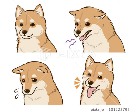 柴犬の喜怒哀楽（茶柴） 101222792