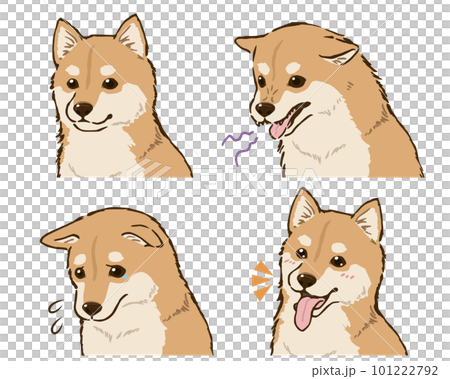 柴犬の喜怒哀楽（茶柴） 101222792