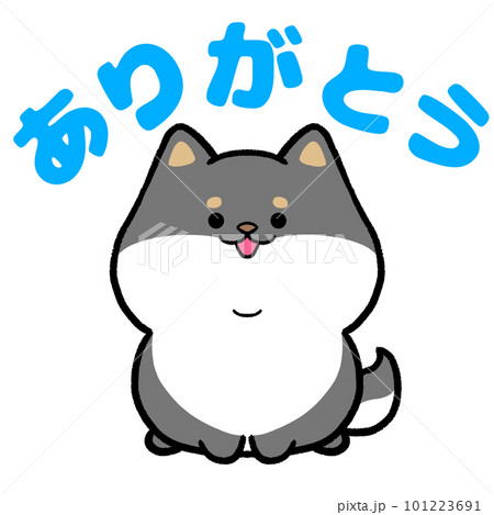黒柴とありがとうのイラスト素材 [101223691] - PIXTA